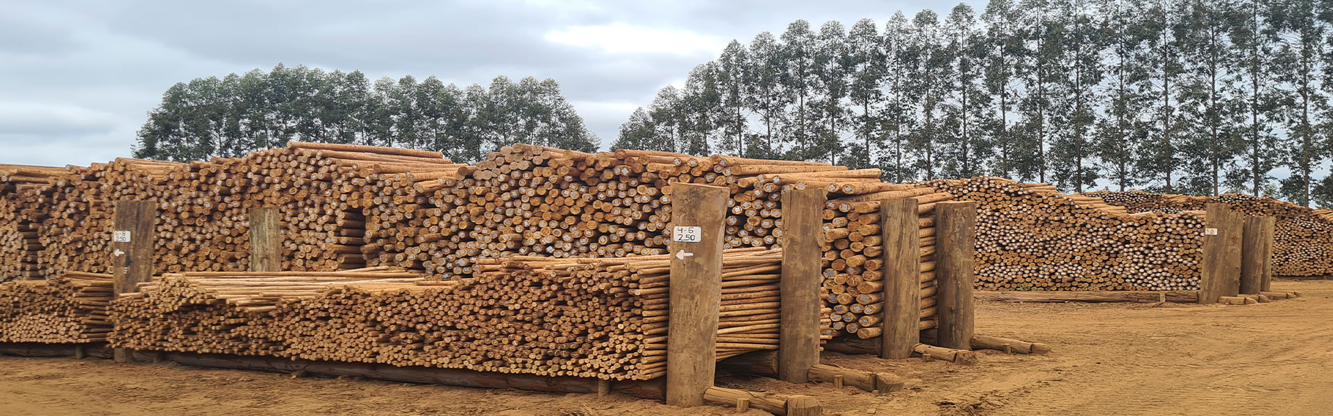 Estacas 06 a 08 de 2,20m