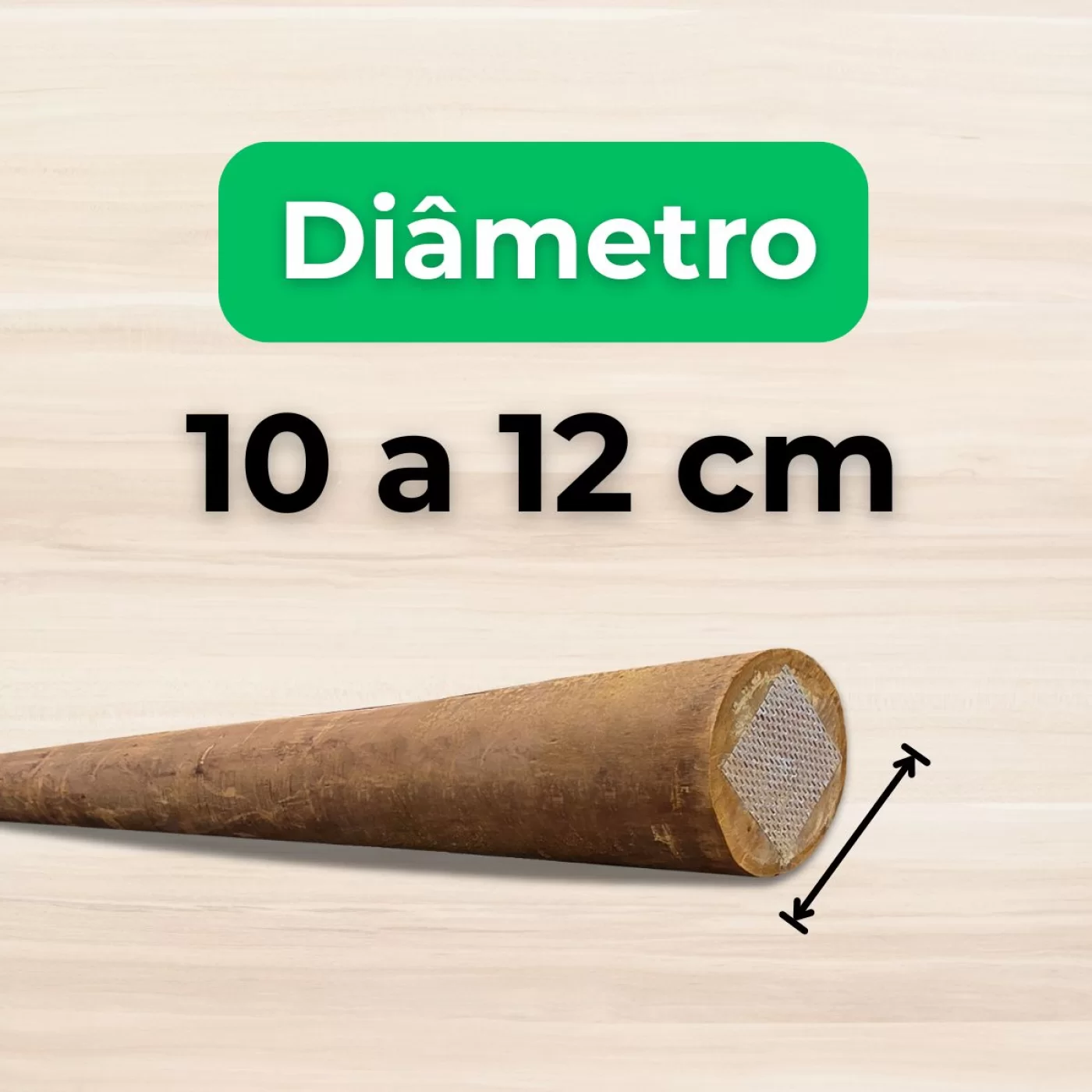 10 a 12cm de Diâmetro